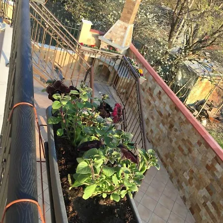בית הארחה M&v House וארנה